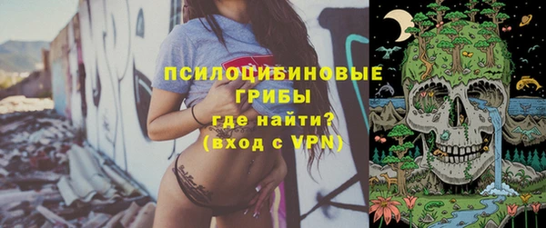 гашик Бугульма