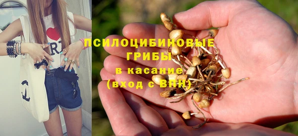 гашик Бугульма